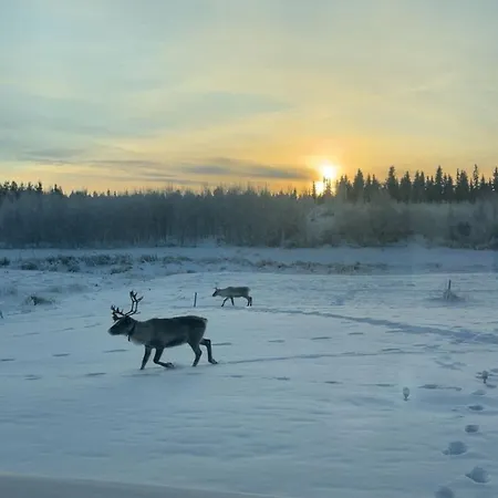 Appartamento Brand New Log