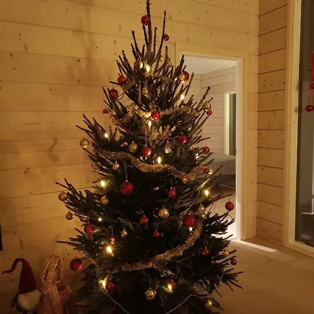 Brand New Log 公寓 罗瓦涅米