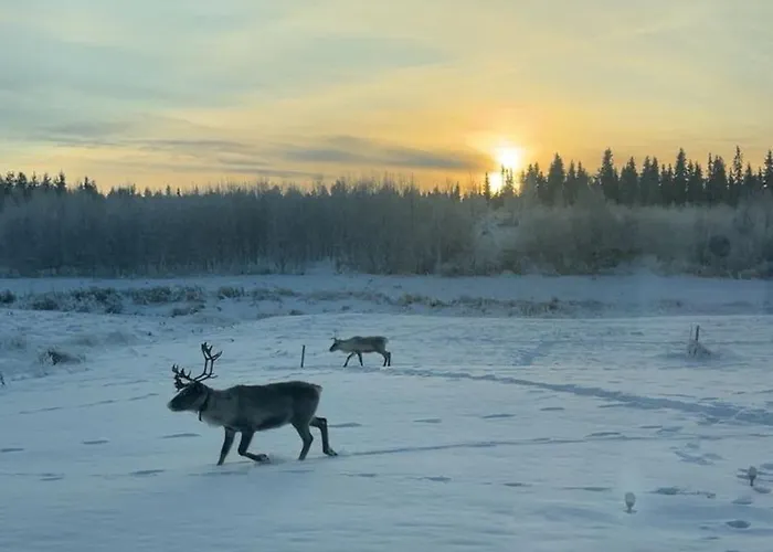 Appartamento Brand New Log