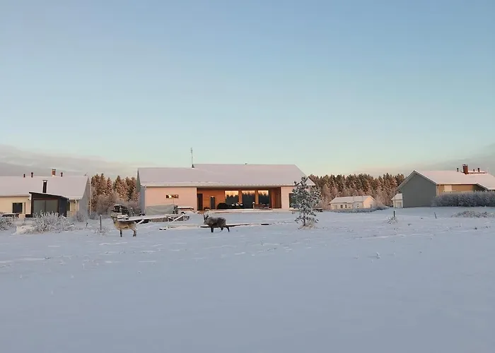 Brand New Log * Rovaniemi